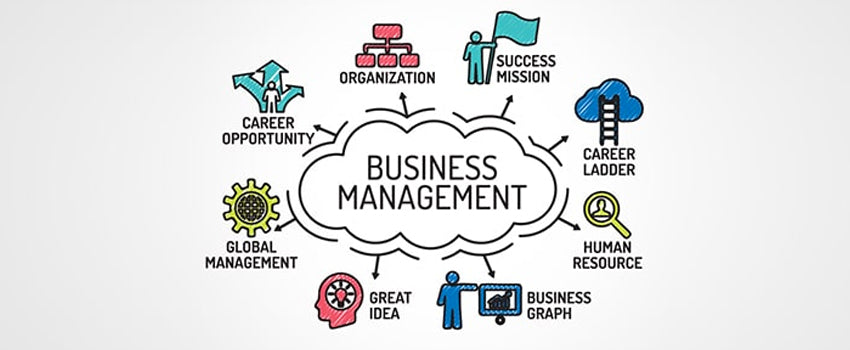 Business & Management