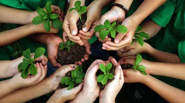 Environmental Education