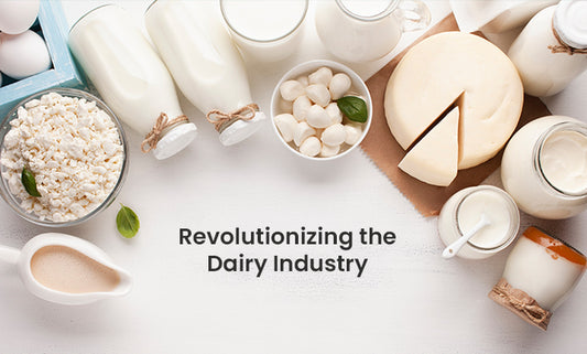 Dairy Product & Process Technology